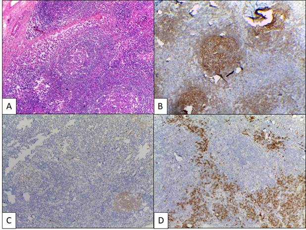 Interfaz de usuario gráfica

Descripción generada automáticamente con confianza baja