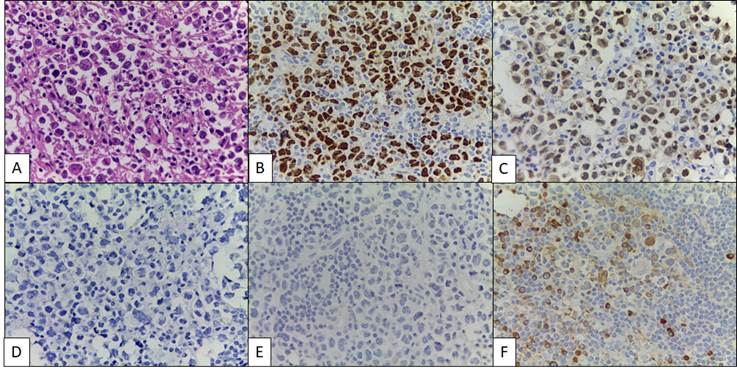 Mapa

Descripción generada automáticamente